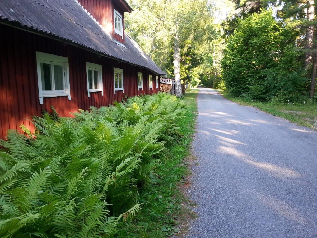 Hostel Kuus Tuba Leisi Exteriér fotografie